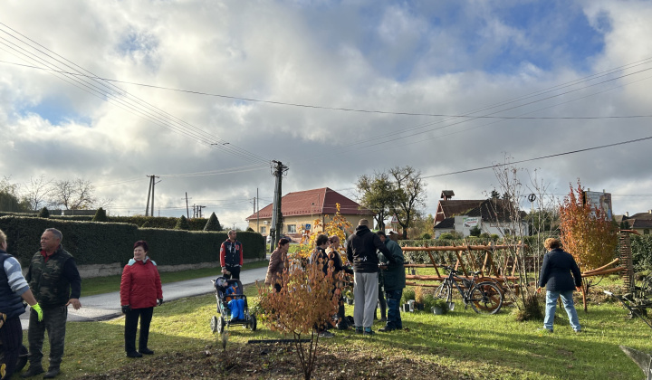 Skrášľovanie obce 2025